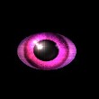 auge
